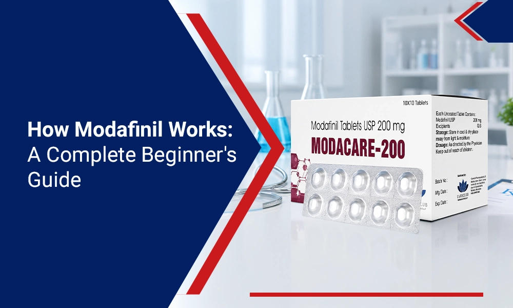 How Modafinil Works A Complete Beginner's Guide